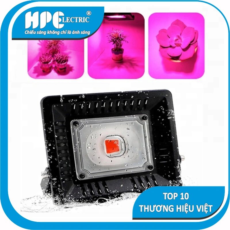 Pha Thấu Kính Mắt Lồi COB H06 Pha Thấu Kính Mắt Lồi COB H06 - Ảnh 2